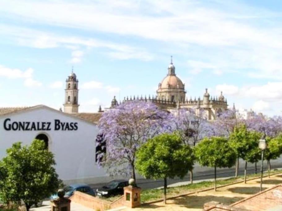 Apartamento Loft Jerez Buleria Apartment Херес де ла Фронтера Екстериор снимка